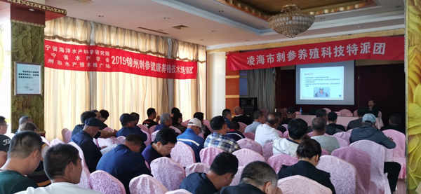 凌海刺参特派团.jpg 凌海刺参特派团.jpg